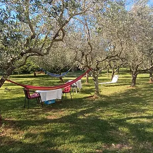  Appartement Gabriela Croatie